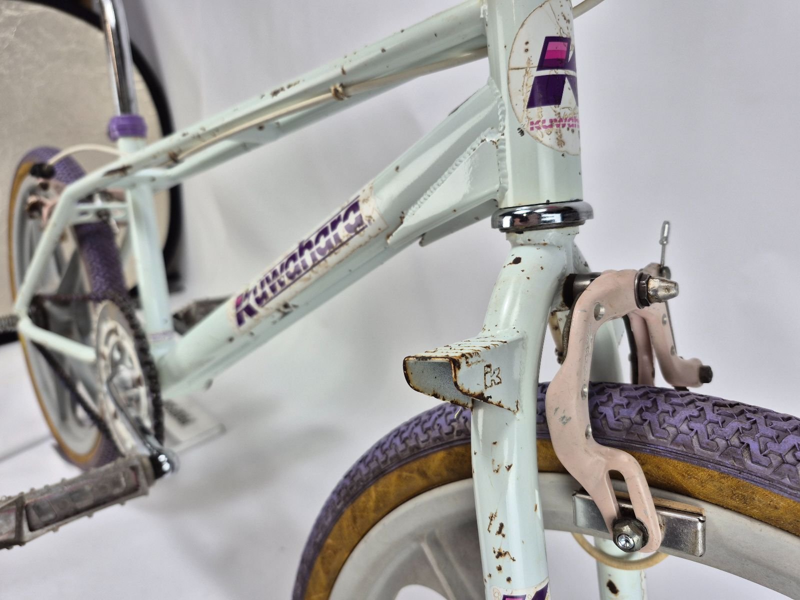 85 Kuwahara exhibitionist survivor 4 85 Kuwahara exhibitionist survivor - Image 4