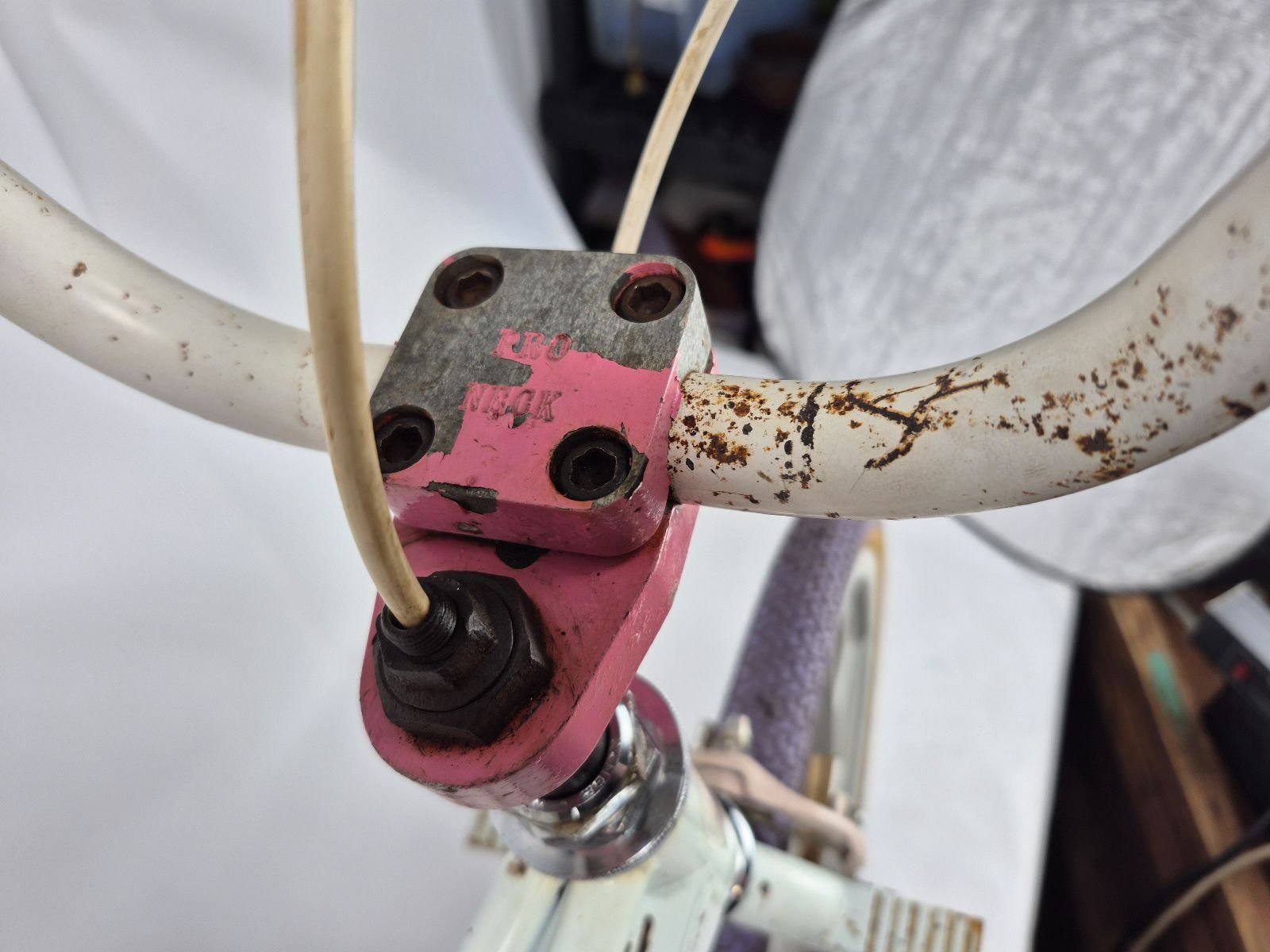 85 Kuwahara exhibitionist survivor 5 85 Kuwahara exhibitionist survivor - Image 5