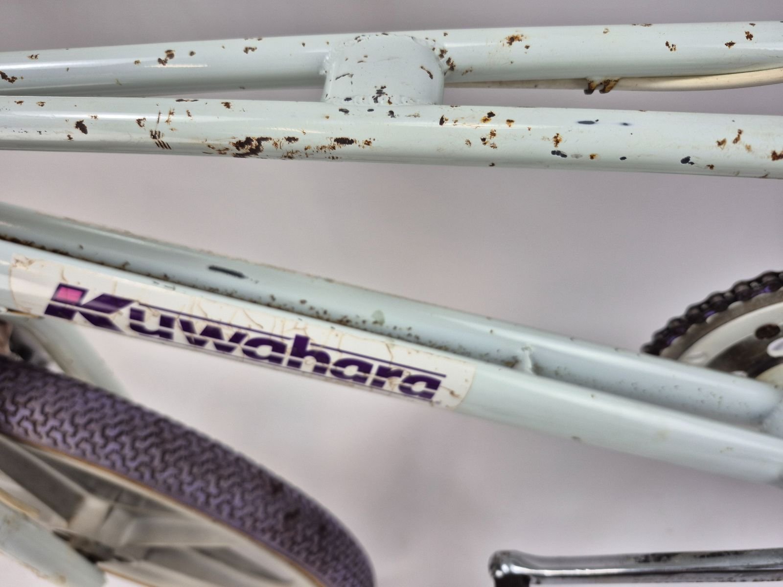 85 Kuwahara exhibitionist survivor 7 85 Kuwahara exhibitionist survivor - Image 7