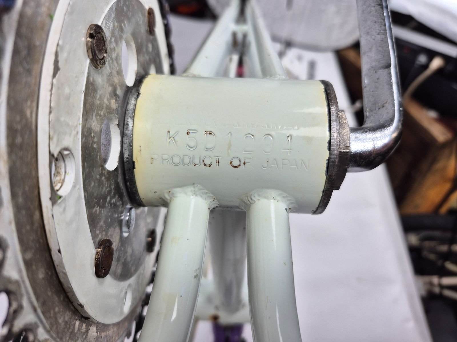 85 Kuwahara exhibitionist survivor 8 85 Kuwahara exhibitionist survivor - Image 8