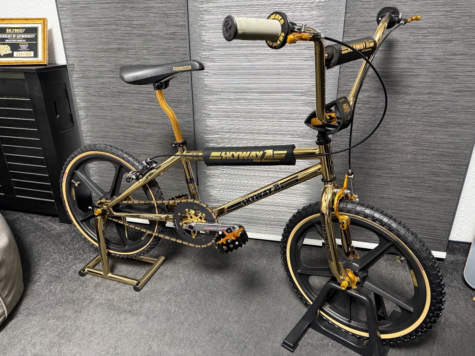 Skyway 60th Anniversary BMX