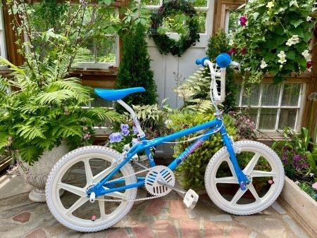 own 1986 GT Performer BMX bike